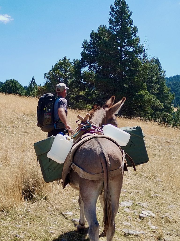 randonnee_ane_vercors_anevoyageur1