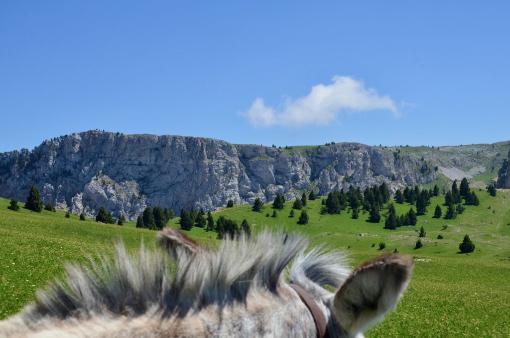 randonnee_ane_vercors_anevoyageur120