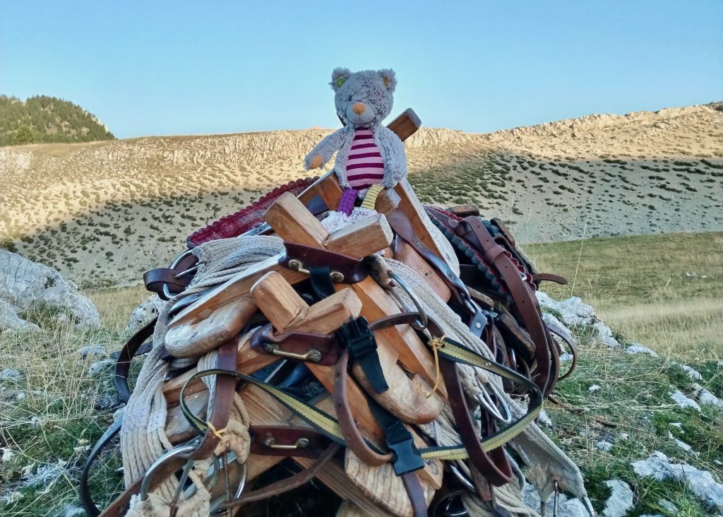 randonnee_ane_vercors_anevoyageur23