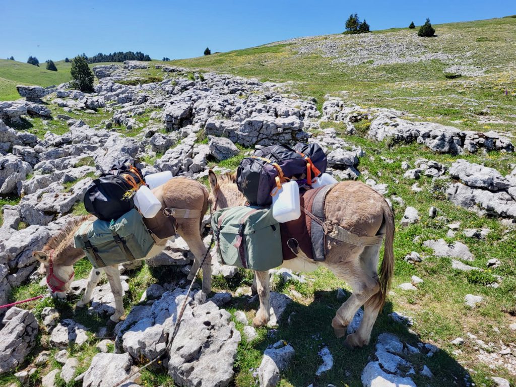 randonnee_ane_vercors_anevoyageur46