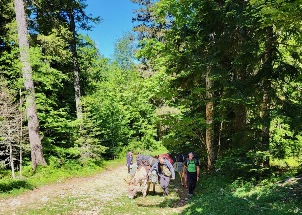 randonnee_ane_vercors_anevoyageur54